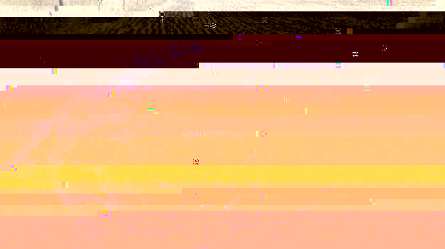 robert2.jpg