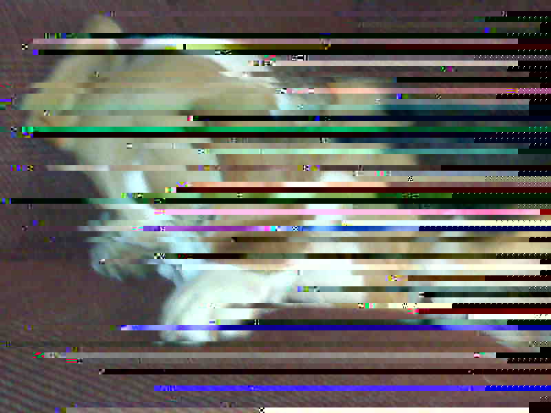 IMG00151.jpg