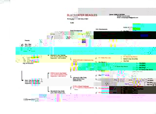 Dam's Pedigree